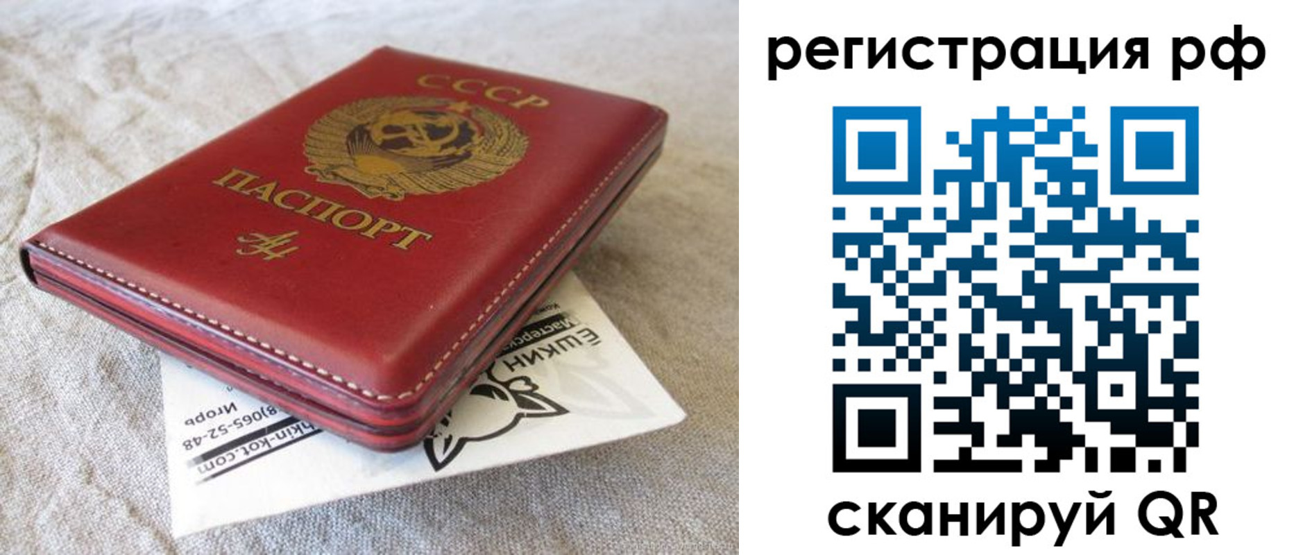 прописка поиск в Челябинской области